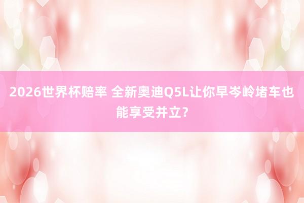 2026世界杯赔率 全新奥迪Q5L让你早岑岭堵车也能享受并立？