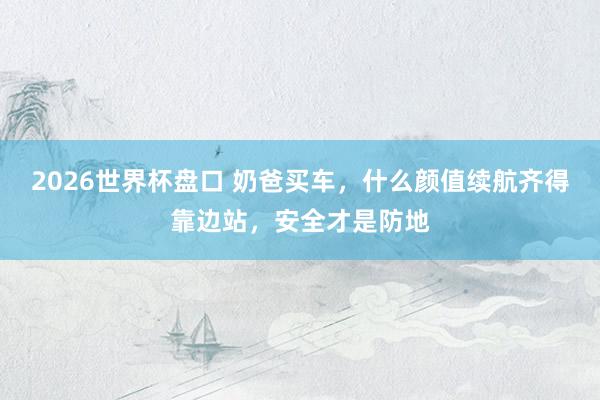 2026世界杯盘口 奶爸买车，什么颜值续航齐得靠边站，安全才是防地