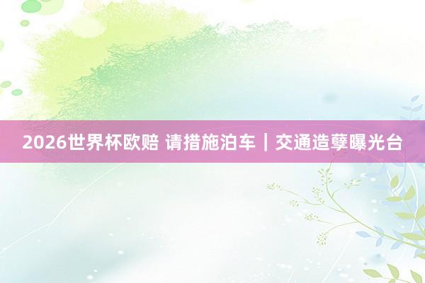 2026世界杯欧赔 请措施泊车｜交通造孽曝光台
