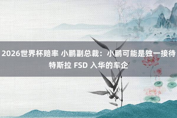 2026世界杯赔率 小鹏副总裁:小鹏可能是独一接待特斯拉 FSD 入华的车企