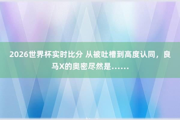 2026世界杯实时比分 从被吐槽到高度认同,良马X的奥密尽然是……