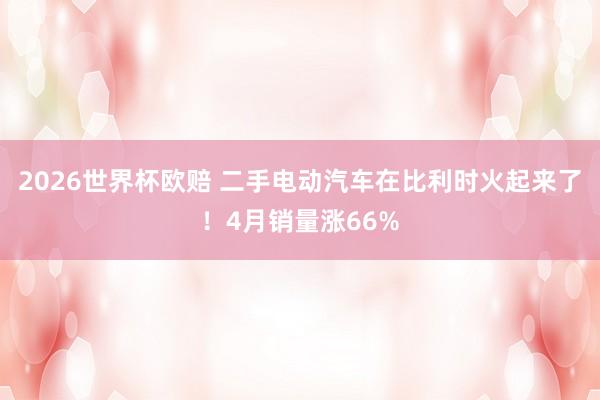 2026世界杯欧赔 二手电动汽车在比利时火起来了！4月销量涨66%