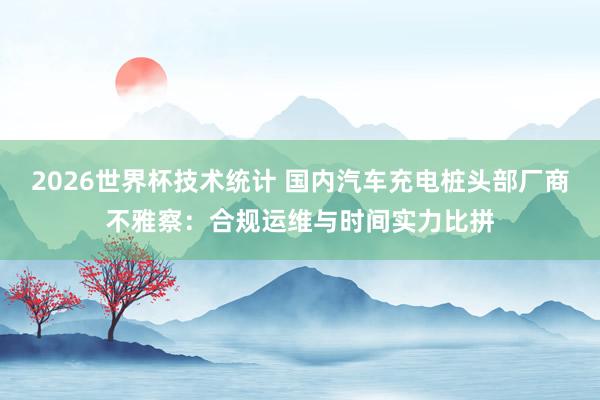 2026世界杯技术统计 国内汽车充电桩头部厂商不雅察:合规运维与时间实力比拼