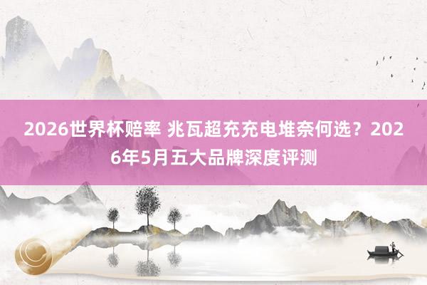 2026世界杯赔率 兆瓦超充充电堆奈何选？2026年5月五大品牌深度评测