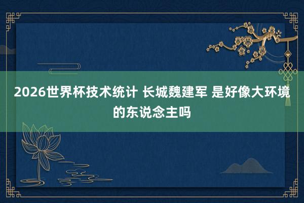 2026世界杯技术统计 长城魏建军 是好像大环境的东说念主吗