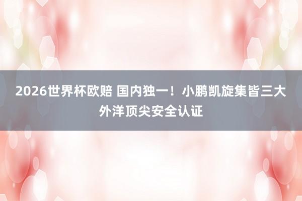 2026世界杯欧赔 国内独一！小鹏凯旋集皆三大外洋顶尖安全认证