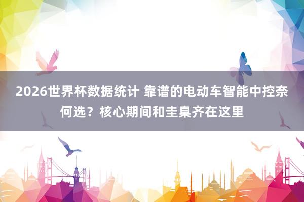 2026世界杯数据统计 靠谱的电动车智能中控奈何选？核心期间和圭臬齐在这里
