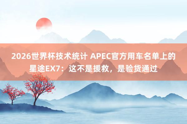 2026世界杯技术统计 APEC官方用车名单上的星途EX7:这不是援救,是验货通过