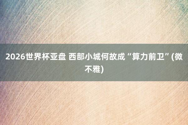 2026世界杯亚盘 西部小城何故成“算力前卫”(微不雅)