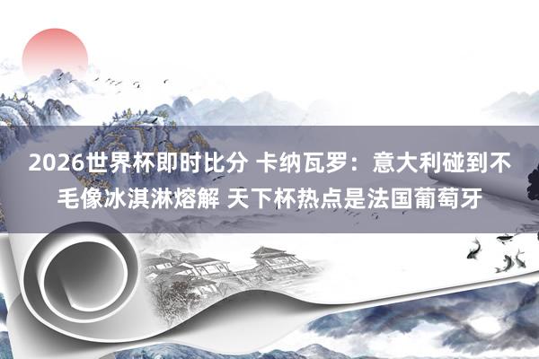 2026世界杯即时比分 卡纳瓦罗：意大利碰到不毛像冰淇淋熔解 天下杯热点是法国葡萄牙